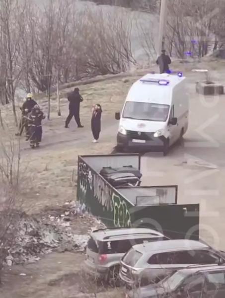 В Мурманске хозяйка и прохожий рискнули жизнями ради собаки — пса спасти не смогли и сами чуть не погибли В Мурманске хозяйка и прохожий рискнули жизнями ради собаки — пса спасти не смогли и сами чуть не погибли