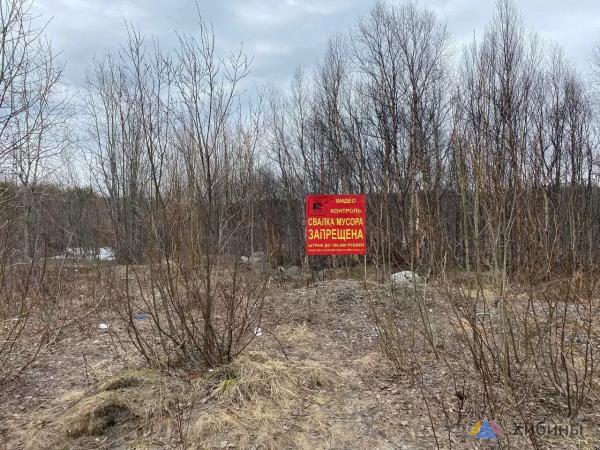 Горы мусора и старые шины: свалка возле больницы в Мурманске возмутила северян