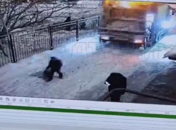 В Мурманске водитель мусоровоза сбил ребенка &mdash; назначена дополнительная проверка