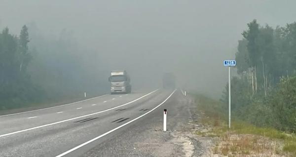 В Мончегорском районе Мурманской области сильно ухудшилась видимость из-за пожара В Мончегорском районе Мурманской области сильно ухудшилась видимость из-за пожара