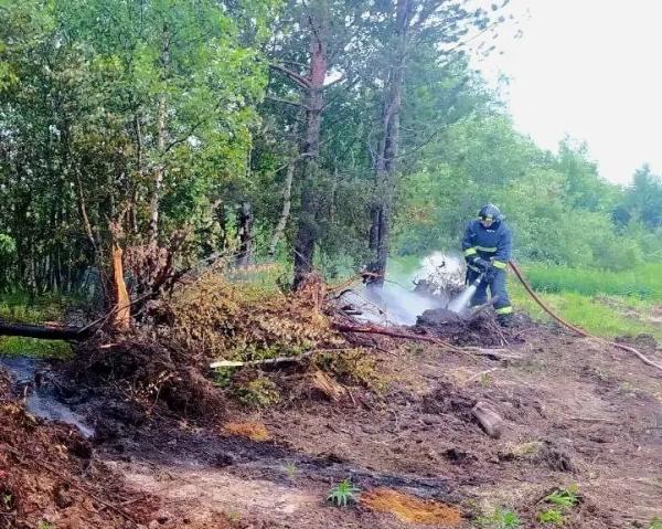 В Кандалакшском районе Мурманской области горел лес В Кандалакшском районе Мурманской области горел лес