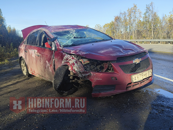 Жёсткое ДТП, в котором никто не пострадал Жёсткое ДТП, в котором никто не пострадал