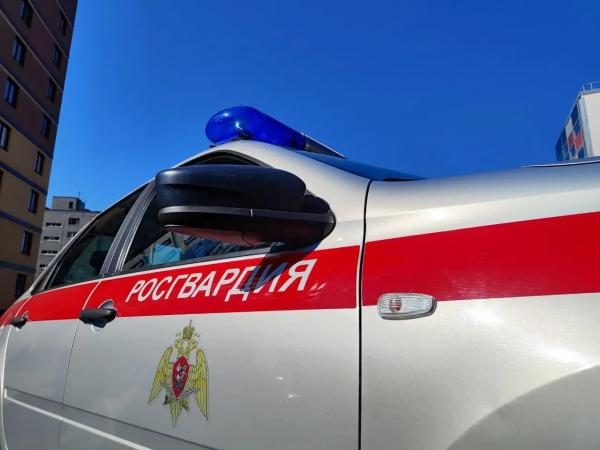 Сотрудники Росгвардии Мурманска предотвратили кражу в гипермаркете Сотрудники Росгвардии Мурманска предотвратили кражу в гипермаркете
