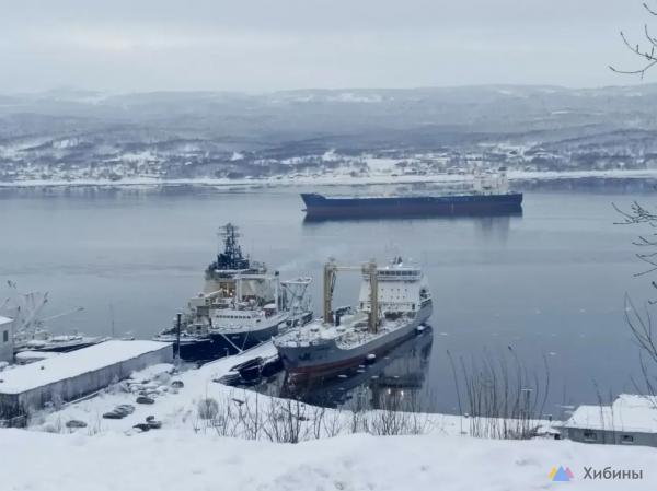Мурманский порт адаптируют к изменениям в логистике угольного экспорта Мурманский порт адаптируют к изменениям в логистике угольного экспорта