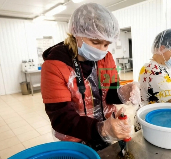 &laquo;Аристотелев фонарь&raquo;. Необычная экскурсия прошла в Мурманске