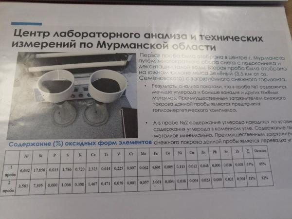 &laquo;Необходим жёсткий контроль&raquo;: общественники &mdash; о решении проблемы с угольной пылью в Мурманске