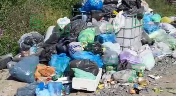 Ужасную картину наблюдали недалеко от водопада в Мурманской области Ужасную картину наблюдали недалеко от водопада в Мурманской области