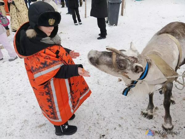 Музей «Олений двор» в Мурманской области вошёл в число 30 самых оригинальных музеев России Музей «Олений двор» в Мурманской области вошёл в число 30 самых оригинальных музеев России