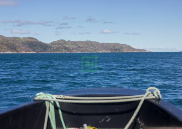 Морской гигант проплыл совсем рядом с катером в Заполярье Морской гигант проплыл совсем рядом с катером в Заполярье